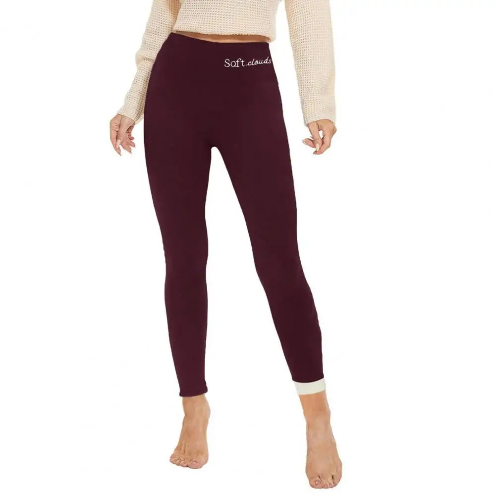 Winter Warm Velvet Thick Skinny Pants Women High Waist Leggings Female Clothing Pencil Pants Femme Thermal Trousers